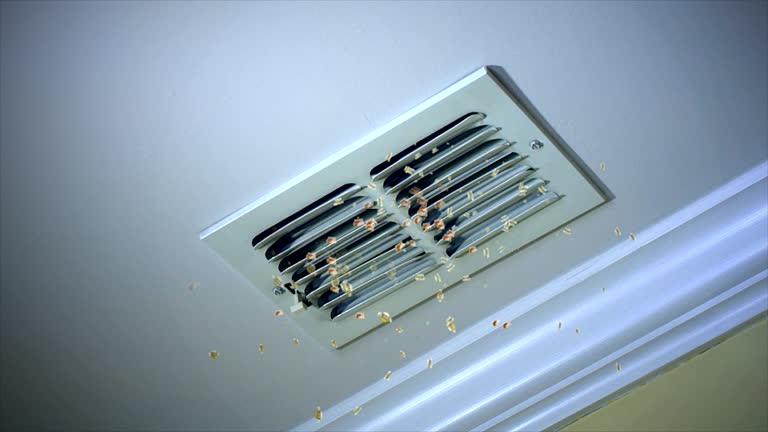 Best Air Duct Cleaning Near Me  in Temelec, CA