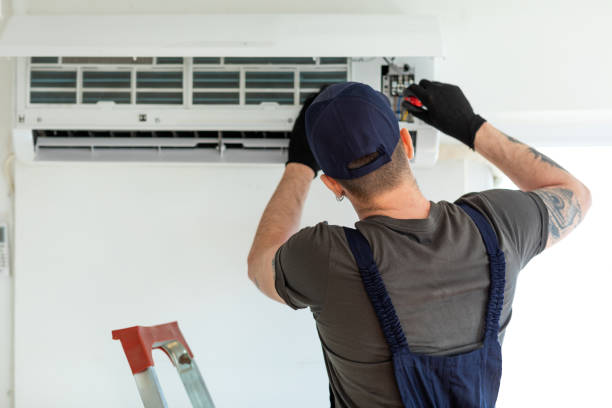 Best Air Duct Mold Removal  in Temelec, CA