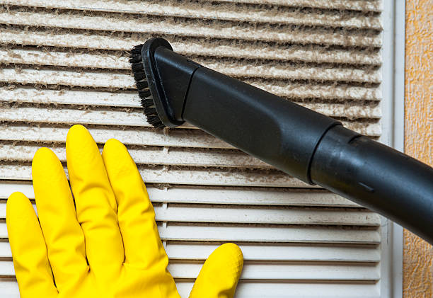 Best Home Air Vent Cleaning  in Temelec, CA